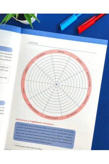 Radz� sobie z emocjami Program rozwoju inteligencji emocjonalnej dla nastolatk�w - Agnieszka Lampkowska, Oksana  Bu�ko