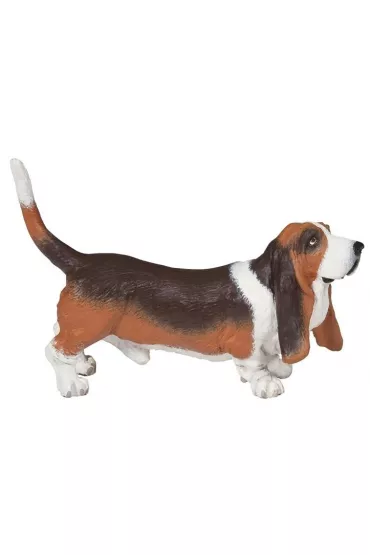 Basset