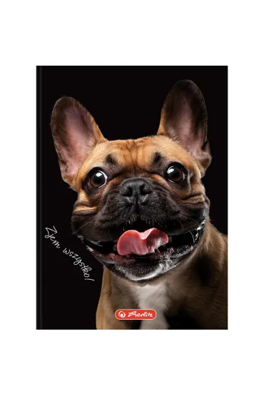 Herlitz Brulion A6 Crazy Animal kratka 80 kartek
