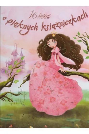 16 historii o pi�knych ksi�niczkach *