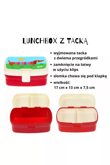b.box Zestaw �niadaniowy lunchbox i bidon Jamniki