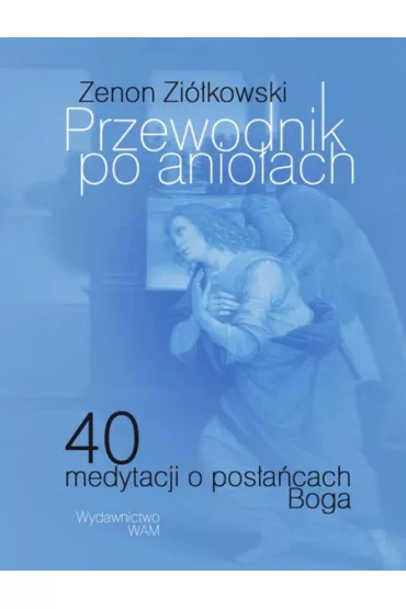 Przewodnik po anio�ach - Zenon Zi�kowski