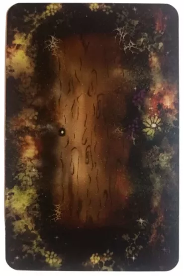 Magic Elements Tarot - Vera Bojanowska
