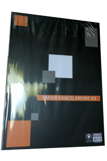 Top-2000 Papier kancelaryjny A3 100 kartek