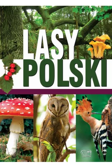 Lasy polskie