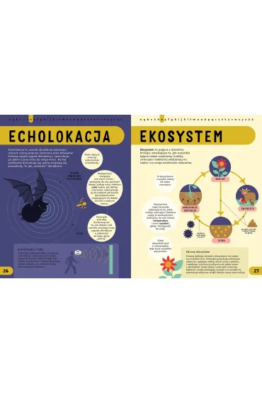 Encyklopedia STEM od A do Z - Jenny Jacoby