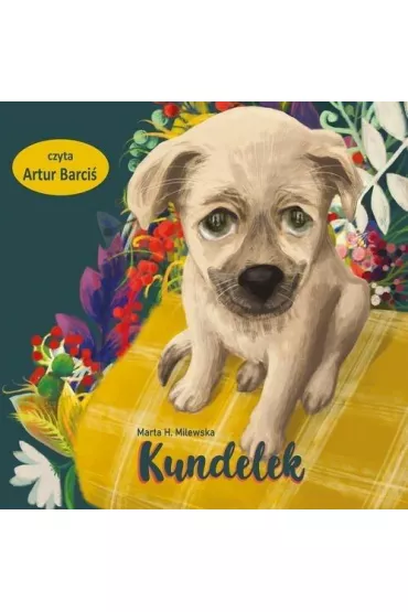Audiobook Kundelek (ksi��ka audio) CD - Marta H. Milewska