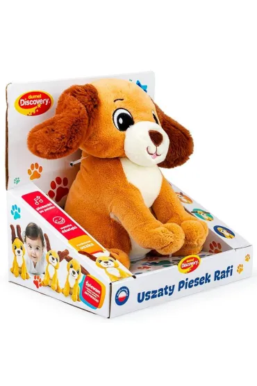 Uszaty piesek Rafi Dumel