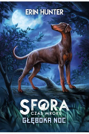 G��boka noc. Sfora. Czas mroku. Tom 2 - Erin Hunter