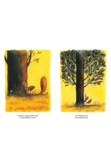 To jest MOJE drzewo. Wiewi�rka - Olivier Tallec