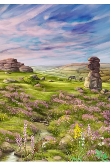 Le�ne rozdanie: Dartmoor Rebel - Kosch
