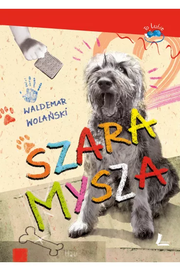 Szara mysza - Waldemar Wola�ski