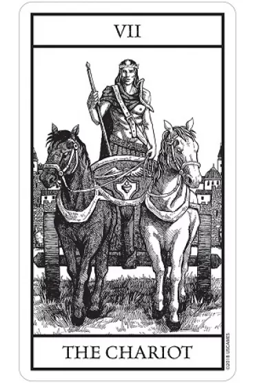 Bianco Nero Tarot, karty do wr�enia - Marco Proietto