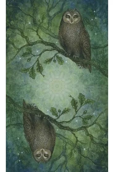 Forest of Enchantment Tarot - Lunaea Weatherstone