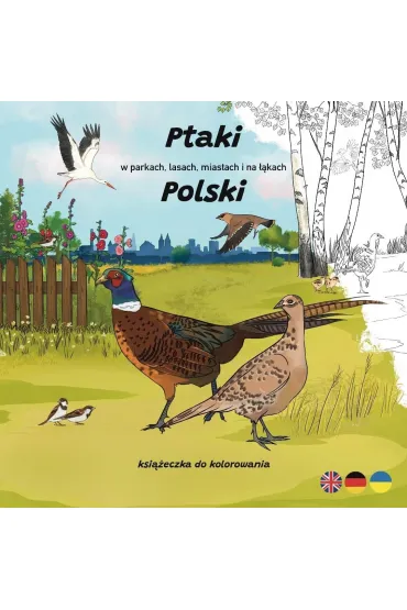 Ptaki w parkach, lasach, miastach i na ��kach... - Ksenia Pot�pa