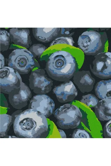 Ideyka Malowanie po numerach - Soczysta bor�wka 25x25cm