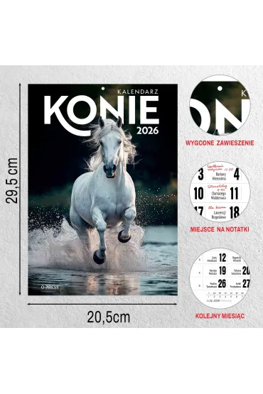 Opress Kalendarz 2026 A4 wieloplanszowy Konie