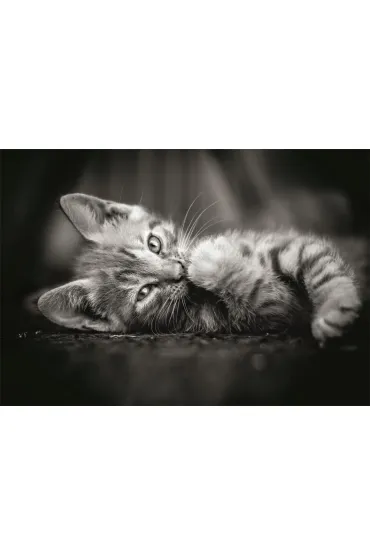 Puzzle 1000 el. Kitty Clementoni