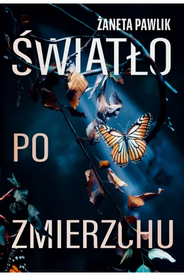 �wiat�o po zmierzchu - �aneta  Pawlik