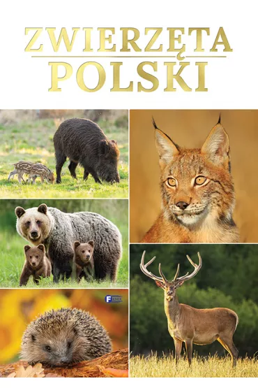 Zwierz�ta Polski