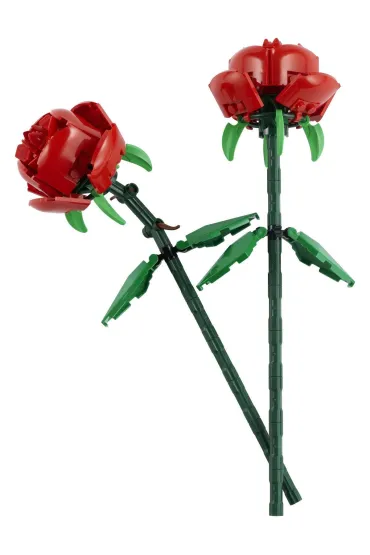 LEGO Botanicals R�e 40460