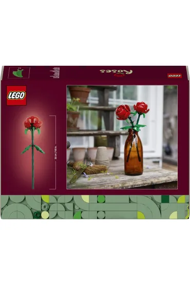 LEGO Botanicals R�e 40460