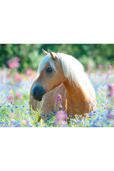 Puzzle 300 el. Ko� Ravensburger