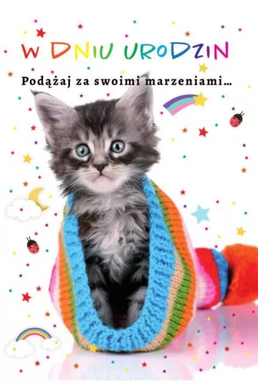 Trend Kartka okoliczno�ciowa Urodziny TS09