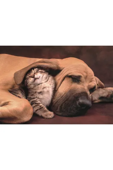 Puzzle 500 el. Cuddles Clementoni