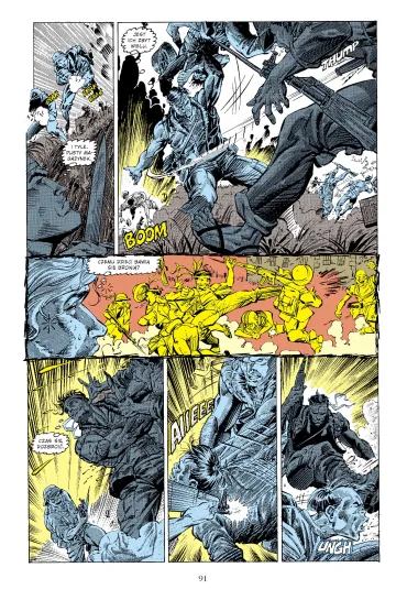 Punisher. Dziennik wojenny - Jim Lee, Carl  Potts