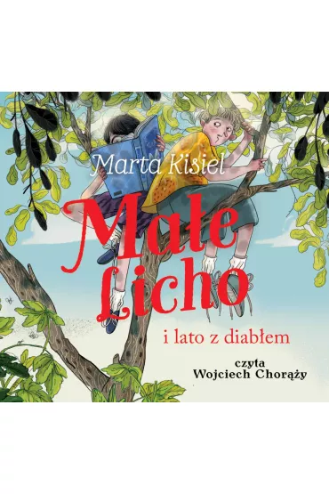 Audiobook Ma�e Licho i lato z diab�em mp3 - Marta Kisiel
