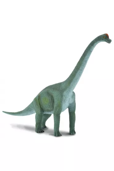 Dinozaur Brachiozaur