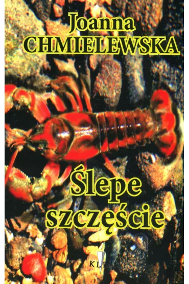 �lepe szcz�cie - Joanna Chmielewska