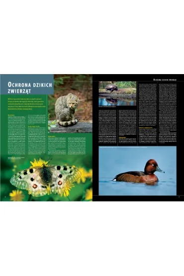 Ilustrowana encyklopedia zwierz�t i ro�lin Polski