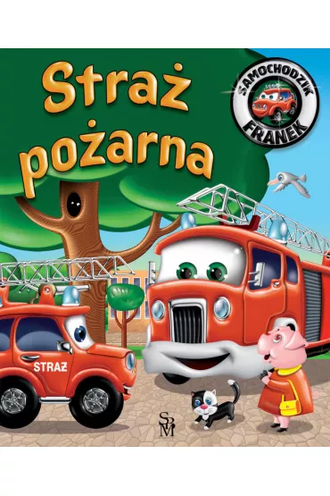 Stra poarna. Samochodzik Franek - Elbieta Wjcik
