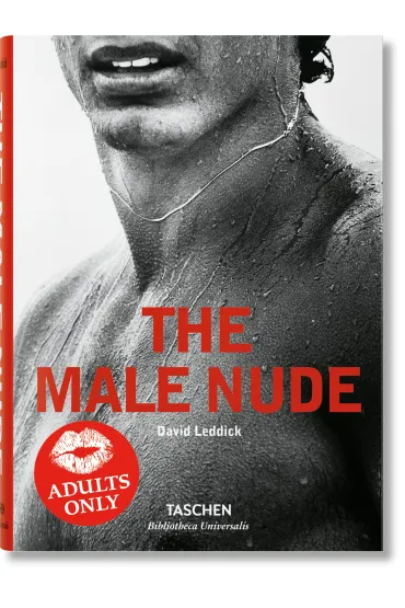 The Male Nude wer. angielska - David Leddick