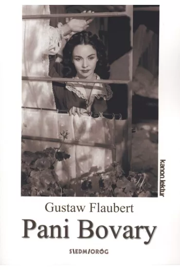 Pani Bovary - Gustave Flaubert