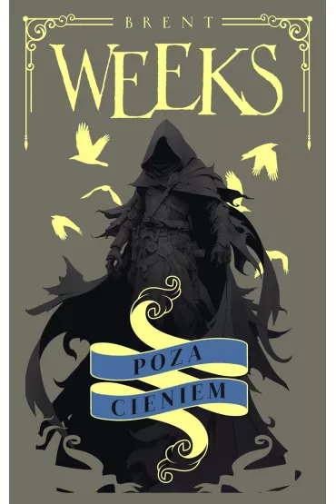 Poza Cieniem. Anio� Nocy. Tom 3 - Brent Weeks