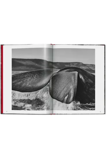 Sebastiao Salgado. Genesis wer. angielska - Sebastião Salgado