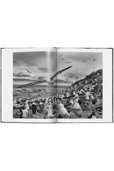 Sebastiao Salgado. Genesis wer. angielska - Sebastião Salgado