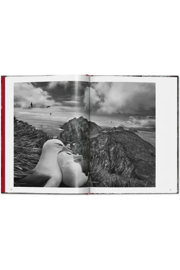 Sebastiao Salgado. Genesis wer. angielska - Sebastião Salgado