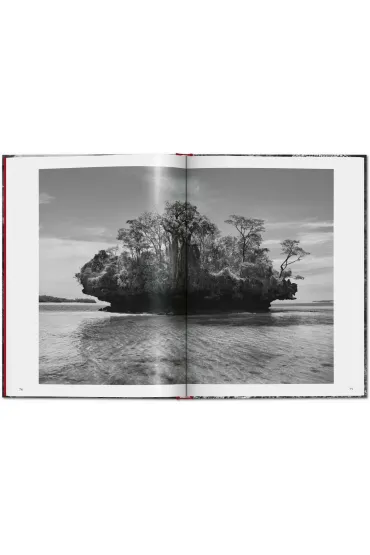 Sebastiao Salgado. Genesis wer. angielska - Sebastião Salgado