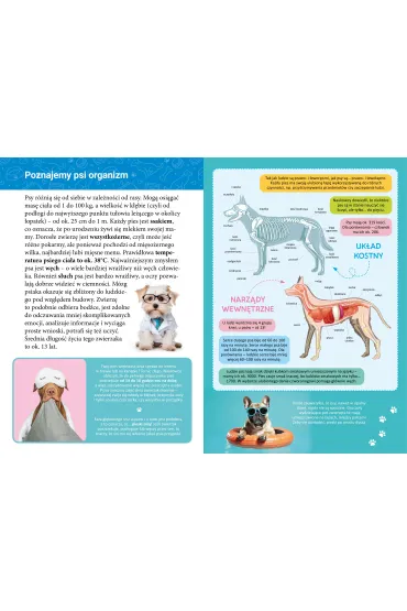 Ksi��ka edu. B5 Ma�a encyklopedia. Psy SKRZAT 077315 - Wioleta �y�owska