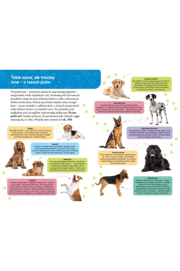 Ksi��ka edu. B5 Ma�a encyklopedia. Psy SKRZAT 077315 - Wioleta �y�owska