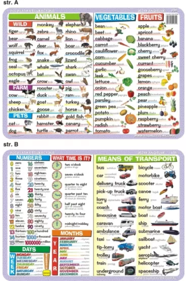 Visual System Podk�adka edukacyjna. Numbers, time, calendar