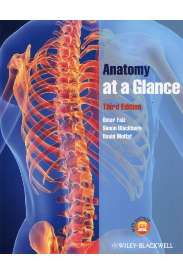 Anatomy at a Glance