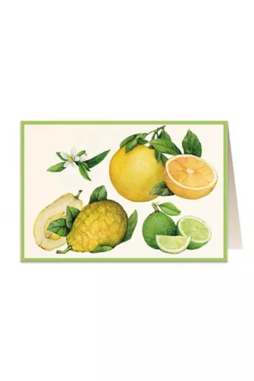 Tassotti Karnet B6 + koperta 5851 Cytrusy