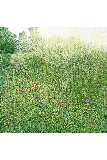 Susan Entwistle Karnet z kopert� Trawy Harlow Carr