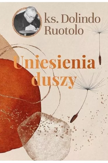 Uniesienia duszy - Dolindo Ruotolo