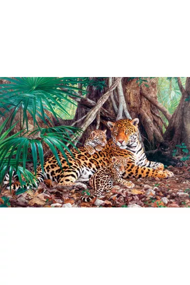 Puzzle 3000 el. Jaguary w d�ungli Castorland